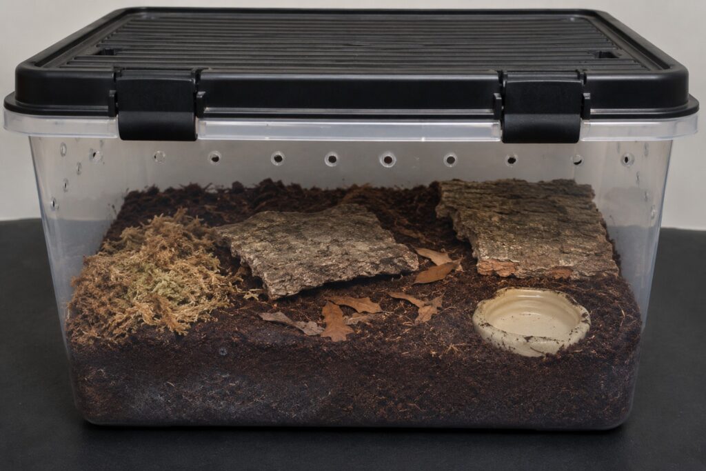 Giant centipede enclosure with deep substrate, cork bark hides, shallow water dish, and secure latching lid