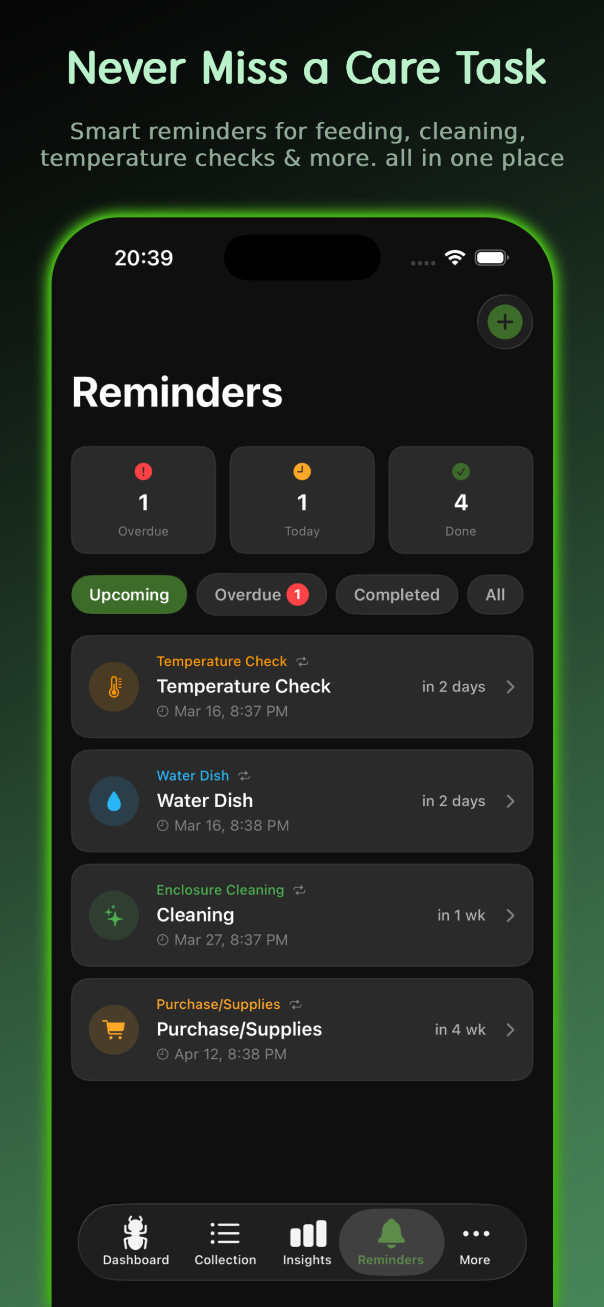 InvertMate reminders screen showing upcoming feeding and cleaning tasks