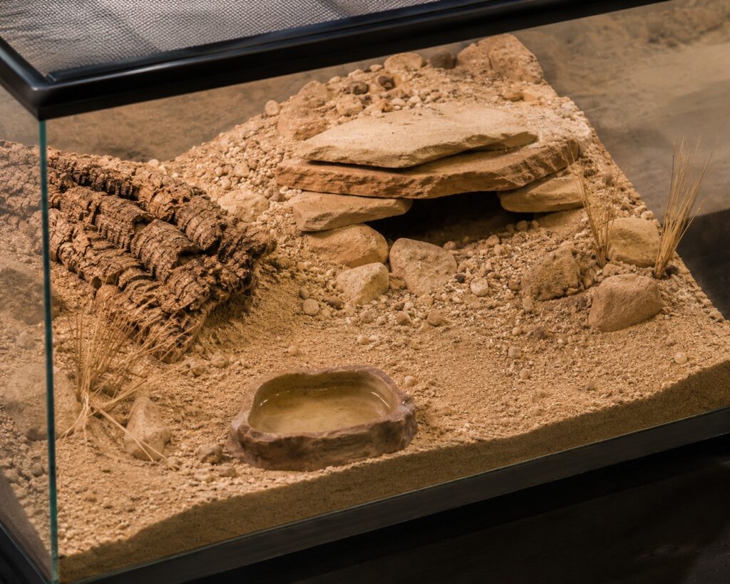Desert hairy scorpion enclosure with deep sand and clay substrate, flat rocks, cork bark hide, and a shallow water dish