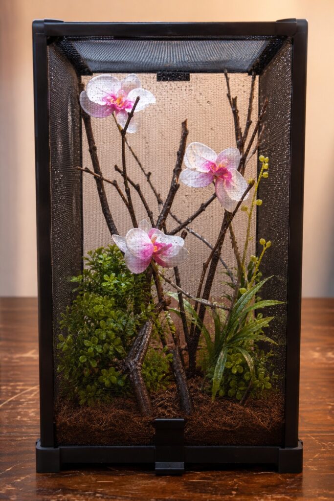 Orchid mantis enclosure with mesh ventilation, vertical branches, artificial flowers, and climbing surfaces