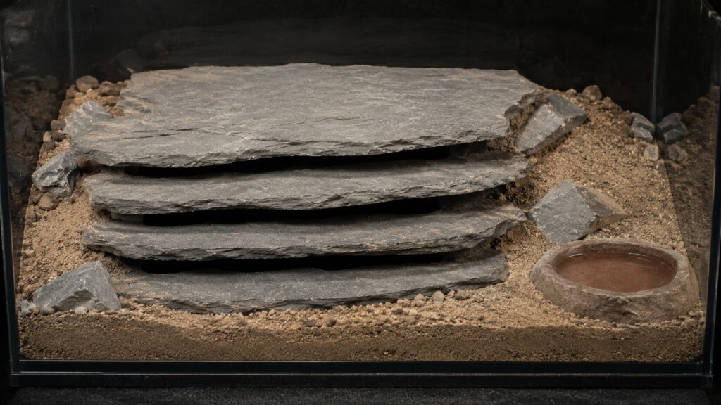 flat rock scorpion, Flat rock scorpion enclosure with stacked slate slabs forming narrow crevices over dry substrate