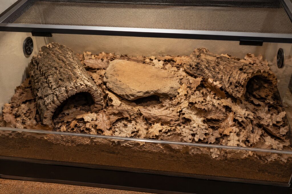 Desert millipede enclosure with deep sandy soil substrate, oak leaf litter, cork bark hides, and a well-ventilated screen lid