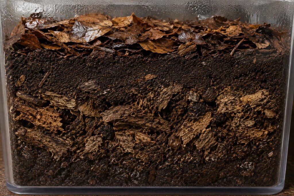 texas gold millipede, Millipede substrate showing crumbling rotten hardwood mixed through soil under leaf litter